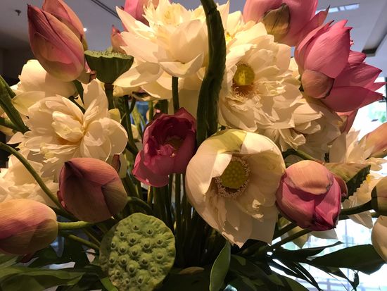 Tagger_Lotus Tour_(6)