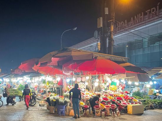 Tagger_Lotus Tour_(1)