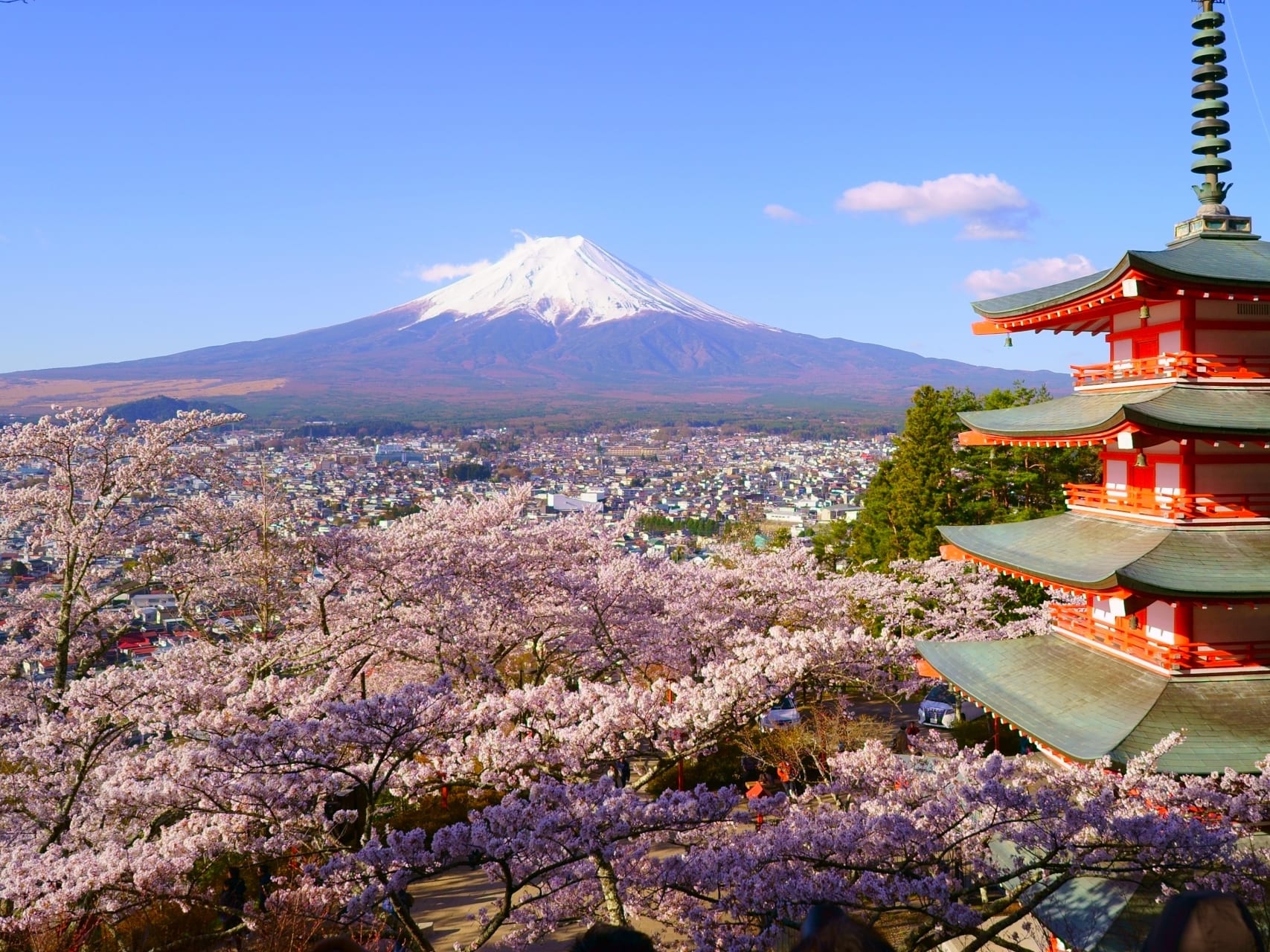Spectacular Views of Mt. Fuji Day Tour from Shinagawa or Shinjuku
