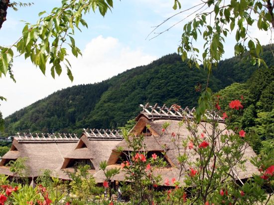東京発日帰りバスツアー 富士山絶景スポット巡り！英語ガイドと行くインバウンド向けツアー＜英語ガイド＞