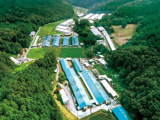 KOR-30鹿野高原牧場ハムギフト (2)