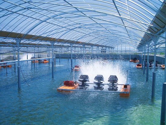 aQMN4560鰻楽九州産うなぎ蒲焼４尾セット (7)