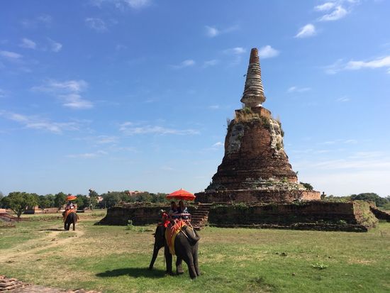アユタヤ_象乗り体験