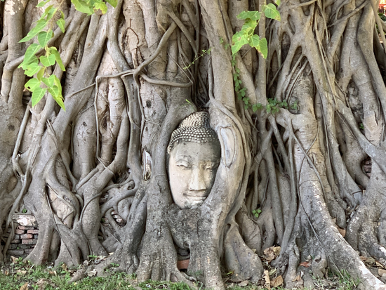 アユタヤ_ワットマハタート3