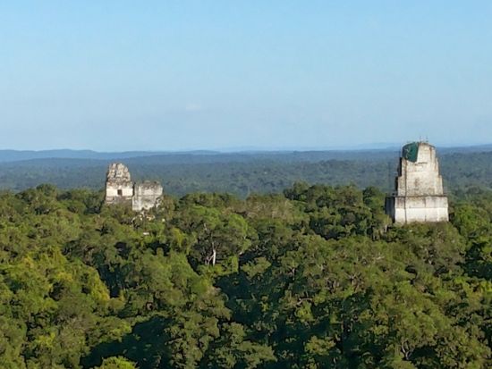 世界遺産ティカル遺跡日帰り観光ツアー＜往復飛行機利用／昼食付／日本語または英語ガイド／グアテマラシティ又はアンティグア発＞