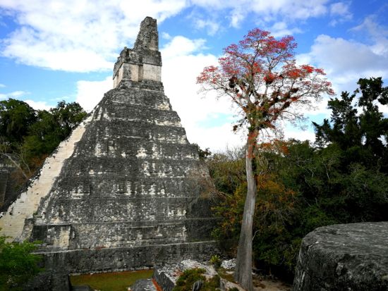 世界遺産ティカル遺跡日帰り観光ツアー＜往復飛行機利用／昼食付／日本語または英語ガイド／グアテマラシティ又はアンティグア発＞