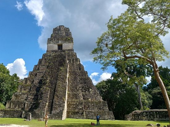 世界遺産ティカル遺跡日帰り観光ツアー＜往復飛行機利用／昼食付／日本語または英語ガイド／グアテマラシティ又はアンティグア発＞