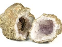 AdobeStock_176628392