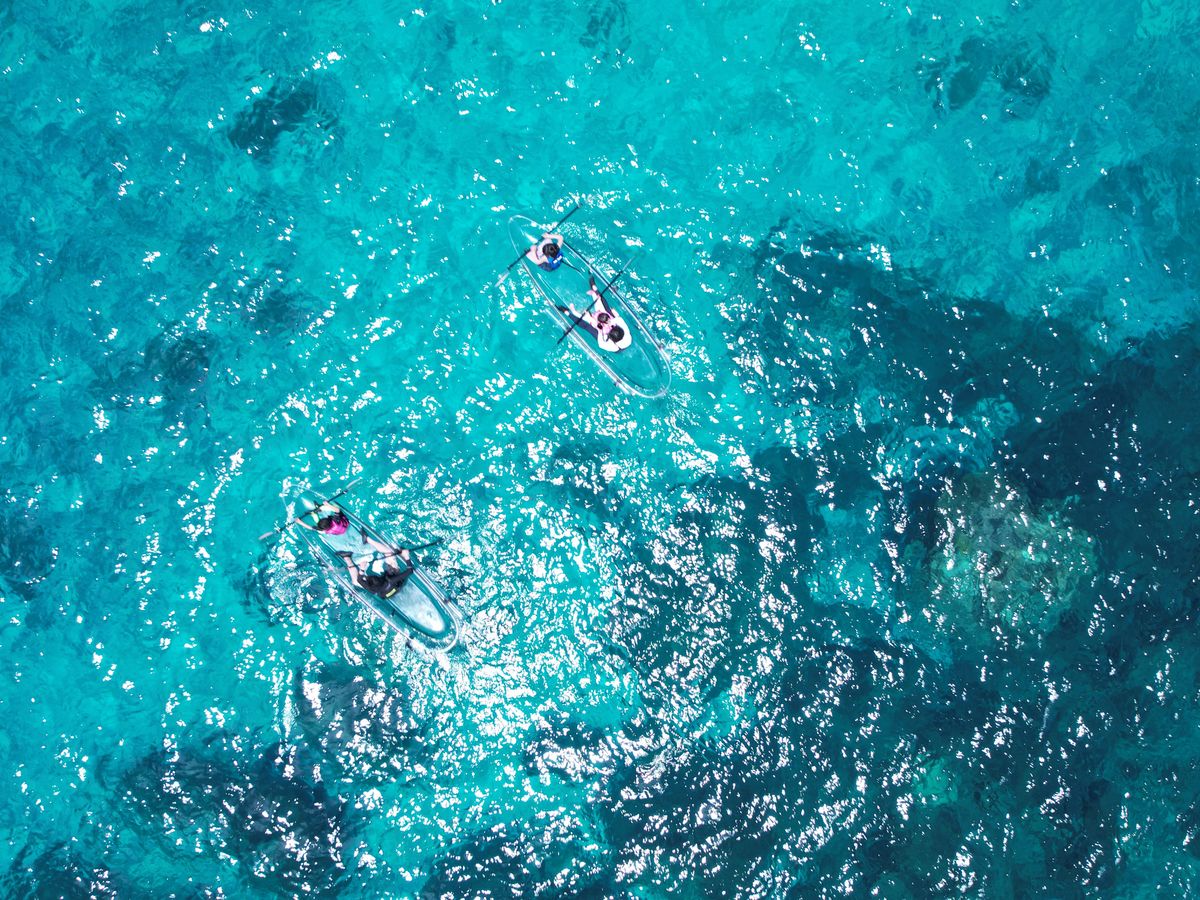 ボートシュノーケリング＋クリアカヤック 地元出身の漁師がご案内