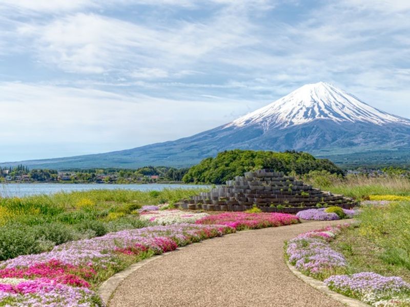 大石公園_富士山と花畑_5月
