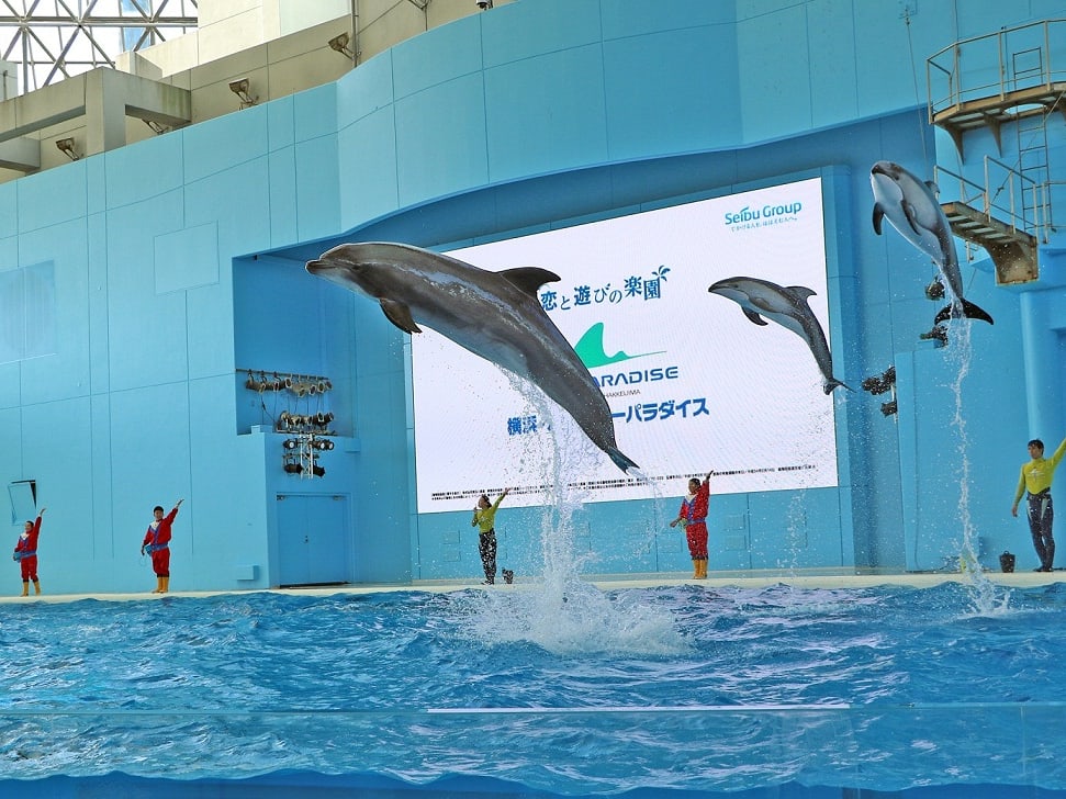 横浜・八景島シーパラダイス ワンデーパス 個性豊かな水族館と多彩なアトラクションで海・島・生きものを満喫！＜横浜・八景島＞ |  横浜・みなとみらいの観光&遊び・体験・レジャー専門予約サイト VELTRA(ベルトラ)