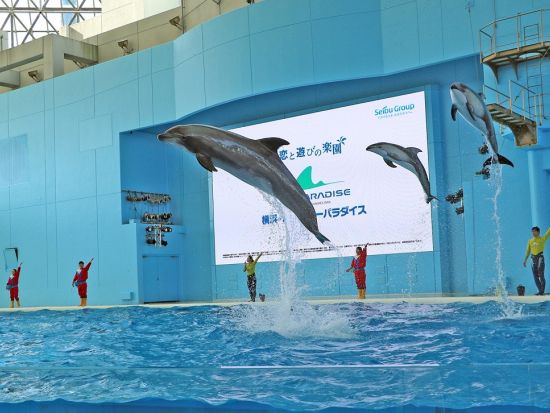 横浜・八景島シーパラダイス ワンデーパス 個性豊かな水族館と多彩なアトラクションで海・島・生きものを満喫！＜横浜・八景島＞