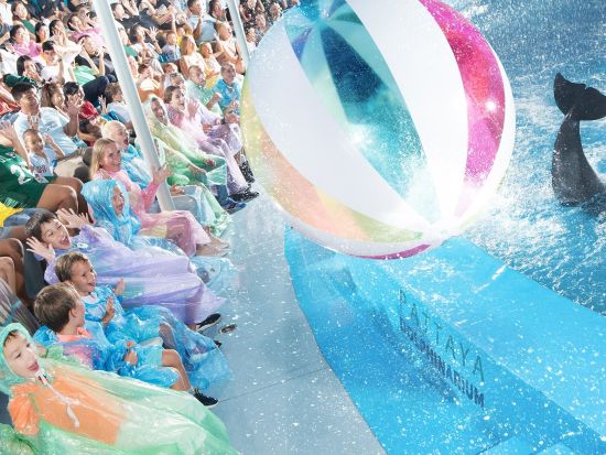 パタヤ・ドルフィナリウム　イルカショー観覧チケット