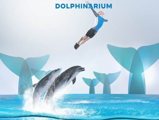 パタヤ・ドルフィナリウム　イルカショー観覧チケット
