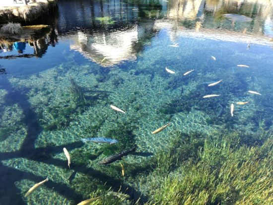 東京発日帰りバスツアー 富士山五合目＆御殿場プレミアム・アウトレットで名峰と買い物を満喫！英語ガイドと巡る人気観光スポット＜英語ガイド／インバウンド向けツアー＞