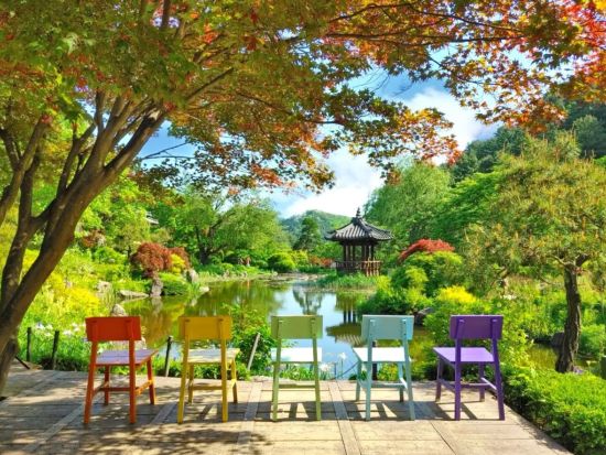 韓流ドラマロケ地＆アルパカワールド日帰り観光ツアー　南怡島（ナミソム）＆アチムゴヨ樹木園 ＜英語ガイド／弘大入口駅解散＞