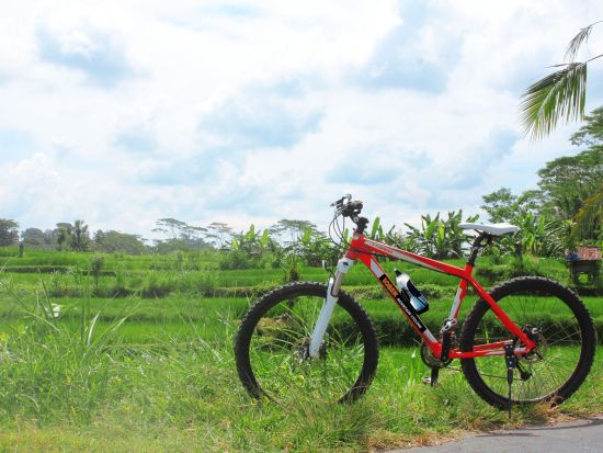 ウブド サイクリングツアー　ヒンドゥー教寺院や棚田をめぐる ＜インドネシア料理のビュッフェランチ＆軽食付き／英語ガイド＞