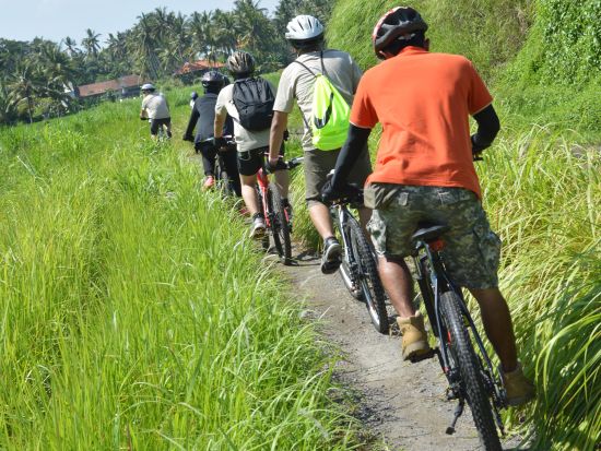 ウブド サイクリングツアー　ヒンドゥー教寺院や棚田をめぐる ＜インドネシア料理のビュッフェランチ＆軽食付き／英語ガイド＞