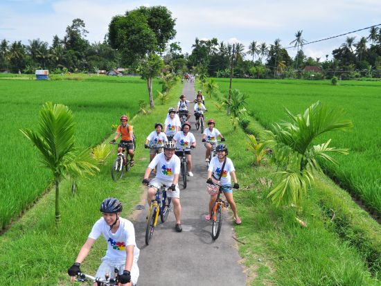 ウブド サイクリングツアー　ヒンドゥー教寺院や棚田をめぐる ＜インドネシア料理のビュッフェランチ＆軽食付き／英語ガイド＞