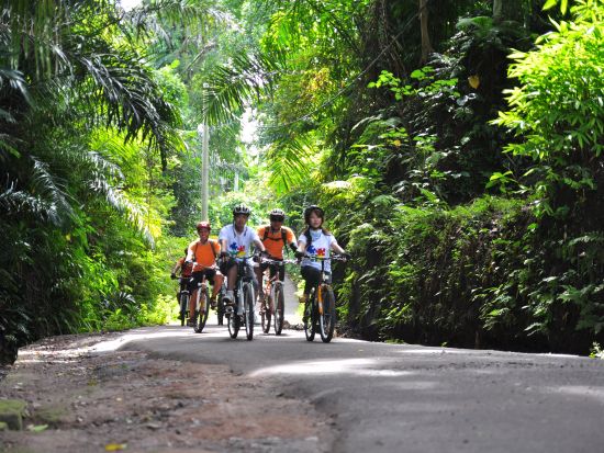 ウブド サイクリングツアー　ヒンドゥー教寺院や棚田をめぐる ＜インドネシア料理のビュッフェランチ＆軽食付き／英語ガイド＞