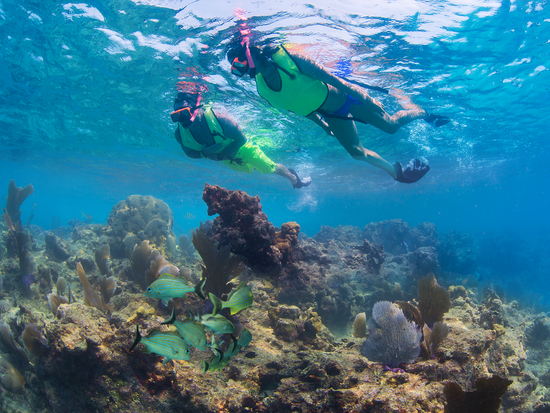 Fury_Snorkel