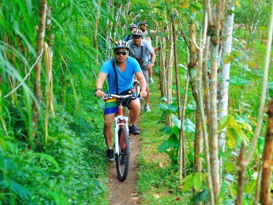 バトゥール サイクリングツアー　バトゥール山や現地の村をめぐる ＜インドネシア料理のビュッフェランチ＆モーニングティー付き／英語ガイド＞