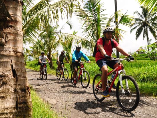 バトゥール サイクリングツアー　バトゥール山や現地の村をめぐる ＜インドネシア料理のビュッフェランチ＆モーニングティー付き／英語ガイド＞