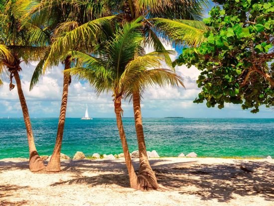 キーウエスト日帰り観光ツアー　到着後は約5時間のフリータイムで自由に観光 ＜英語ドライバー＞