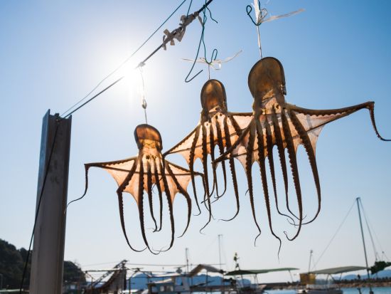 貸切観光タクシー 瀬戸内海のシンボル瀬戸大橋とフォトジェニックな港町児島地区へご案内 空港送迎も可＜3～5時間／1～9名／岡山・倉敷発着＞by倉敷タクシー