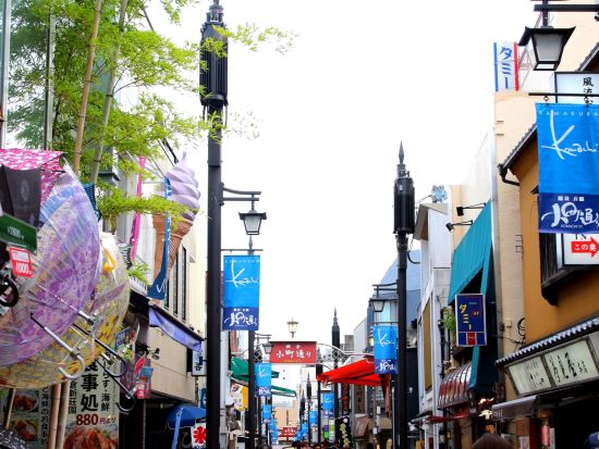 東京発日帰りバスツアー 鎌倉＆江ノ島ロケ地巡りと歴史探訪！英語ガイドと歩くインバウンド向けツアー＜英語ガイド＞