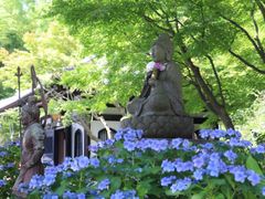 長谷寺