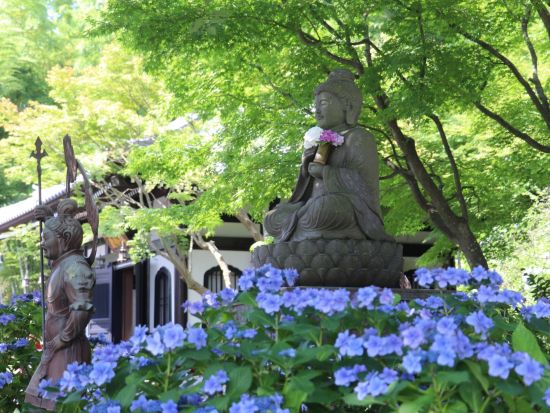 東京発日帰りバスツアー 鎌倉＆江ノ島ロケ地巡りと歴史探訪！英語ガイドと歩くインバウンド向けツアー＜英語ガイド＞