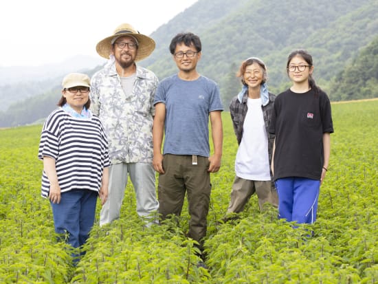 和薄荷（はっか）農家見学体験ツアー 日本一の和ハッカ生産現場を巡る！ミントの香りと人々との交流を楽しむ旅＜6～9月／道の駅 香りの里たきのうえ集合＞