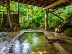 img_hotspring1