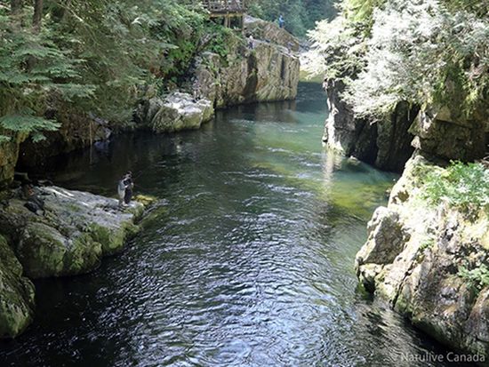 Capilano-River-Regional-Park-04-600