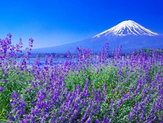 img_735x480_002 (12)