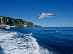pixta_53598311_M