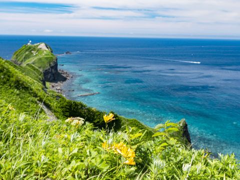札幌発 積丹半島 日帰りバスツアー 積丹神威岬＋島武意海岸＋海鮮丼ランチ付き＜5～9月／1名から催行／札幌駅発着＞by 北海道中央バス
