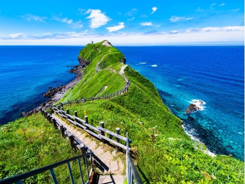 札幌発 積丹半島 日帰りバスツアー 積丹神威岬＋島武意海岸＋海鮮丼ランチ付き＜5～9月／1名から催行／札幌駅発着＞by 北海道中央バス