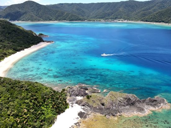 【貸切チャータークルーズ】大型クルーザーを貸切！ワンランク上の贅沢なプライベートツアー 多彩なオプションアクティビティ追加可能＜龍郷町＞ by ON SHORE