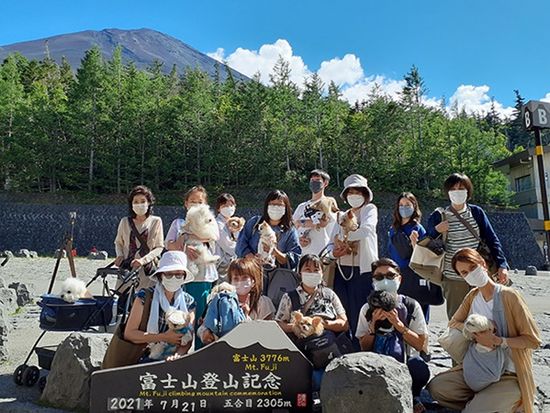 img_MtFUJI_with_dog_735_480