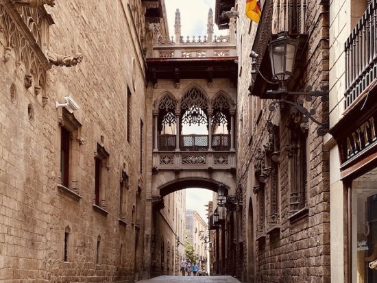 バルセロナ旧市街　ゴシック地区ウォーキングツアー　フラメンコ鑑賞付きプランあり＜2～3時間／日本語＞*前日まで予約OK