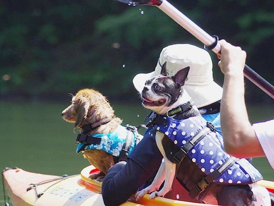 img_nasu_nature_planet_735_480_001