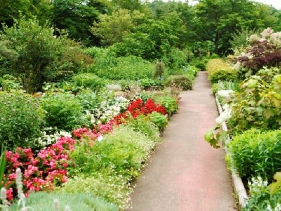 img_hana_to_taikenn_no_mori_735_480_001