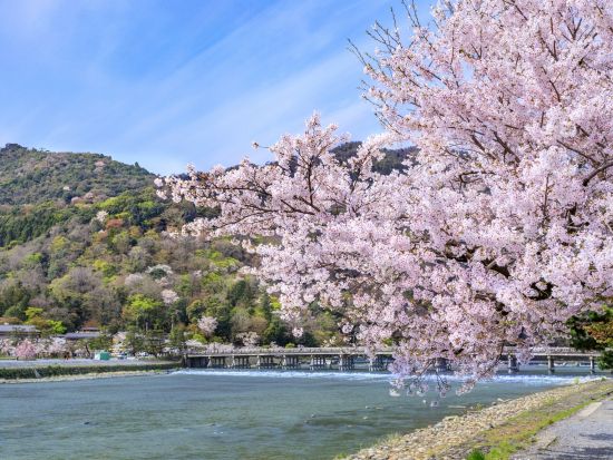 【英語ツアー】伏見稲荷大社＋嵐山＋奈良公園日帰りバスツアー＜京都発／選べる昼食付／英語ガイド＞