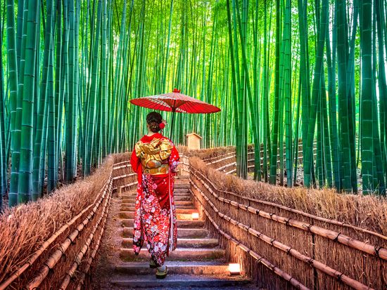 Bamboo Forest_Kimono_shutterstock_1028137558