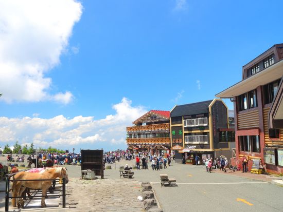 東京発日帰りバスツアー 富士山五合目＆御殿場プレミアム・アウトレットで名峰と買い物を満喫！英語ガイドと巡る人気観光スポット＜英語ガイド／インバウンド向けツアー＞