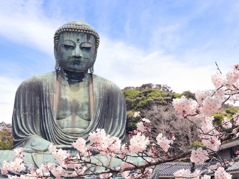 Kamakura_Daibutsu_CherryBlossom_pixta_86127576_M