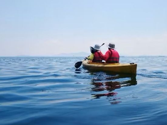 18959403-6df5-4dfe-858a-a803a401d24f