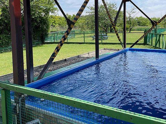 img_zizi_pool_735_480